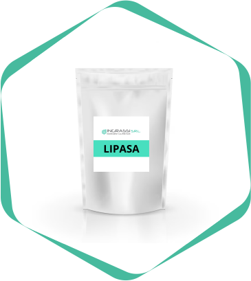 Lipasa